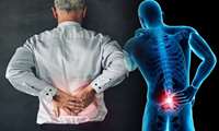 English Lecture Low Back Pain: Causes, Diagnosis and Treatments